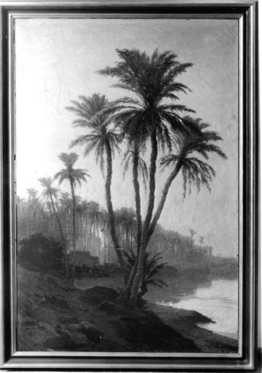 Paesaggio africano